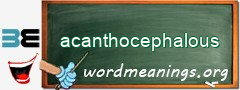 WordMeaning blackboard for acanthocephalous
